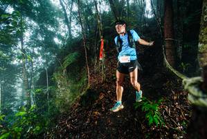 BIB: 
                            <button type="button" onclick="openModal(26230359)" class="btn btn-primary btn-sm float-right btn-popup" data-toggle="modal" data-target=".modal-high-quality">
                        <i class="fas fa-shopping-cart"></i> Add to Cart
                    </button>
                                            <button type="button" onclick="isThisMe(26230359, true)" class="btn btn-success btn-sm float-right btn-popup btn-isme hidden" data-toggle="tooltip" data-placement="bottom" title="นี่คือรูปของคุณใช่ไหม คลิกที่นี่เพื่อเอาเข้าอัลบั้ม">
                        <i class="fas fa-plus"></i> Add to album
                    </button>
                    <button type="button" onclick="isThisMe(26230359, false)" class="btn btn-warning btn-sm float-right btn-popup btn-isnotme hidden">
                        <i class="fas fa-ban"></i> Remove from album
                    </button>